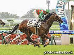 カラーパネル2020年6月13日東京8R 3歳以上1勝クラス(コスモインペリウム)