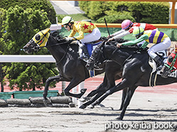 カラープリント(アルミ枠なし)2020年6月13日函館2R 3歳未勝利(ダッチマン)