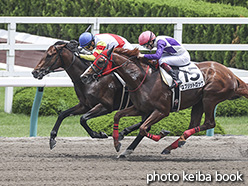 カラープリント(アルミ枠なし)2020年6月14日阪神4R 3歳未勝利(ルールシェーバー)