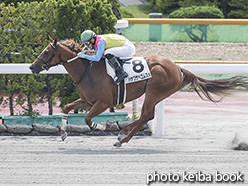 カラープリント(アルミ枠なし)2020年6月14日函館7R 3歳以上1勝クラス(ハヤブサペコムスメ)