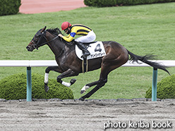 カラープリント(アルミ枠付き)2020年6月20日阪神7R 3歳以上1勝クラス(アジャストザルート)