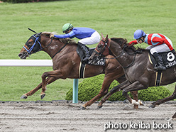 カラーパネル2020年6月20日阪神10R 安芸ステークス(レシプロケイト)