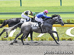 カラープリント(アルミ枠なし)2020年6月20日東京1R 3歳以上障害未勝利(エンシュラウド)