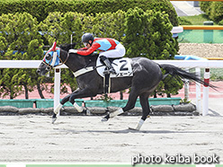 カラープリント(アルミ枠付き)2020年6月20日函館4R 3歳未勝利(シェーン)