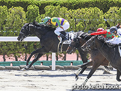 カラーパネル2020年6月20日函館6R 3歳未勝利(ヒルノアントラ)