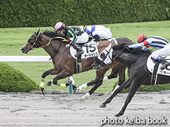 カラープリント(アルミ枠なし)2020年6月21日阪神4R 3歳未勝利(オーシャンズ)