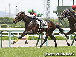 カラーパネル2020年6月21日阪神5R 2歳新馬(シュヴァリエローズ)