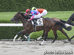 カラープリント(アルミ枠なし)2020年6月27日阪神4R 3歳未勝利(メイショウハクサン)