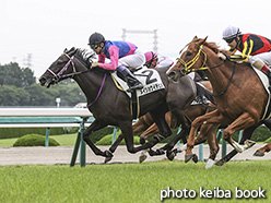 カラーパネル2020年6月27日阪神5R 2歳新馬(メイショウイチヒメ)