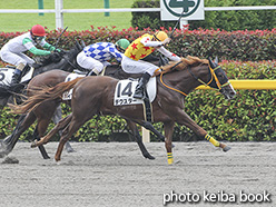 カラープリント(アルミ枠付き)2020年6月27日東京3R 3歳未勝利(デクスター)