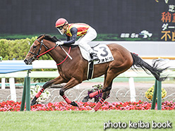 カラープリント(アルミ枠なし)2020年6月27日函館5R 2歳新馬(フォドラ)