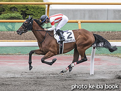 カラープリント(アルミ枠なし)2020年6月27日函館8R 3歳以上1勝クラス(シャルロッテミノル)