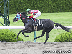 カラーパネル2020年6月28日阪神12R リボン賞(ローザノワール)