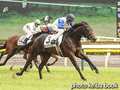 カラーパネル2020年6月28日東京5R 2歳新馬(ロードマックス)