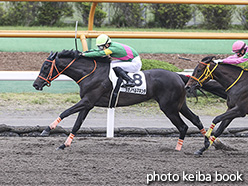 カラーパネル2020年6月28日函館2R 3歳未勝利(タガノペルマネンテ)