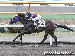 カラープリント(アルミ枠付き)2020年6月28日函館7R 3歳以上1勝クラス(ハクアイブラック)