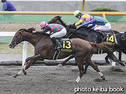 カラーパネル2020年6月28日函館11R 大沼ステークス(ダンツゴウユウ)