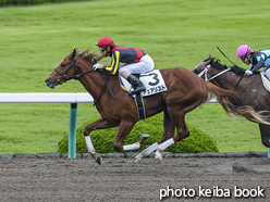 カラープリント(アルミ枠なし)2020年7月4日阪神6R 2歳新馬(デュアリスト)