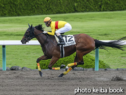 カラープリント(アルミ枠付き)2020年7月4日阪神8R 3歳以上1勝クラス(コパノフィーリング)