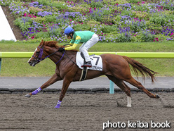 カラープリント(アルミ枠なし)2020年7月4日福島6R 2歳新馬(ミスズグランドオー)