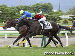 カラーパネル2020年7月4日函館5R 2歳新馬(プロトサマニ)