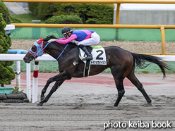 カラーパネル2020年7月4日函館8R 3歳以上1勝クラス(メイショウメイリン)