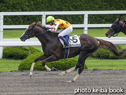 カラープリント(アルミ枠なし)2020年7月5日阪神1R 3歳以上障害未勝利(ガッツィーソート)