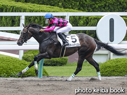 カラープリント(アルミ枠付き)2020年7月5日阪神3R 3歳未勝利(スマートアリエル)