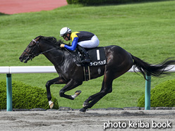 カラーパネル2020年7月5日阪神10R 西脇特別(ラインベック)