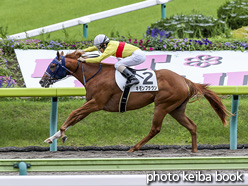 カラープリント(アルミ枠付き)2020年7月18日福島6R 2歳新馬(キモンブラウン)