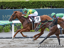 カラーパネル2020年8月8日札幌3R 3歳未勝利(サトノレガリア)