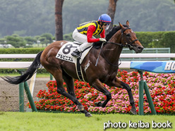 カラープリント(アルミ枠付き)2020年8月9日新潟12R 3歳以上1勝クラス(アルピニズム)