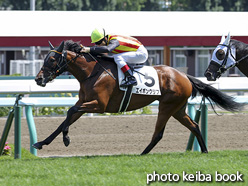 カラープリント(アルミ枠付き)2020年8月15日札幌5R 2歳新馬(エイボンクリフ)