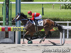 カラープリント(アルミ枠付き)2020年8月16日小倉4R 3歳未勝利(テイストオブハニー)