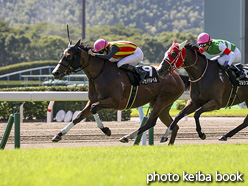 カラーパネル2020年8月16日小倉10R 博多ステークス(カセドラルベル)