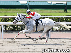 カラープリント(アルミ枠なし)2020年8月22日小倉6R 2歳新馬(ダノンハーロック)