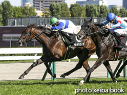 カラープリント(アルミ枠付き)2020年8月22日札幌10R 富良野特別(アルテラローザ)