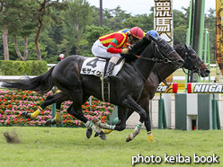 カラープリント(アルミ枠なし)2020年10月10日新潟1R 3歳以上障害未勝利(モザイク)