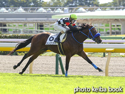 カラープリント(アルミ枠なし)2020年10月18日東京1R 2歳未勝利(ユングヴィ)