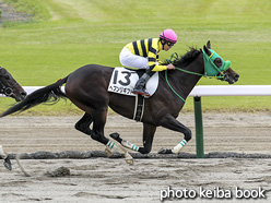 カラーパネル2020年10月18日新潟5R 2歳新馬(ヘブンリギフト)