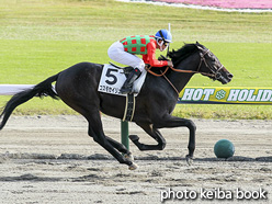 カラープリント(アルミ枠なし)2020年10月18日新潟9R 3歳以上1勝クラス(コスモセイリュウ)