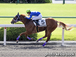 カラーパネル2020年10月24日京都1R 2歳未勝利(タイセイエクセル)