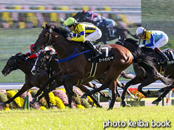 カラープリント(アルミ枠なし)2020年10月25日京都9R 鳴滝特別(ヒートオンビート)