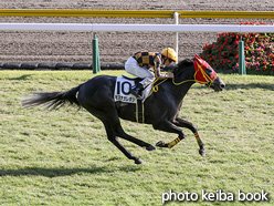 カラーパネル2020年10月25日新潟8R 3歳以上1勝クラス(モズナガレボシ)