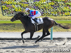 カラーパネル2020年10月31日福島1R 2歳未勝利(リアルドキュメント)