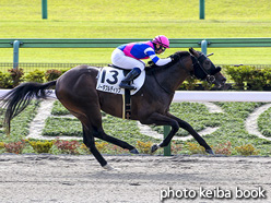 カラーパネル2020年11月1日東京1R 2歳未勝利(ノーダブルディップ)