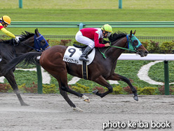 カラープリント(アルミ枠付き)2020年11月8日東京1R 2歳未勝利(グランツアーテム)