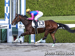 カラーパネル2020年11月22日阪神2R 2歳未勝利(メイショウハナモモ)