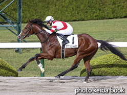 カラープリント(アルミ枠なし)2020年11月22日阪神8R 3歳以上1勝クラス(リトルクレバー)