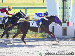 カラーパネル2020年11月22日東京8R 3歳以上1勝クラス(バナナボート)